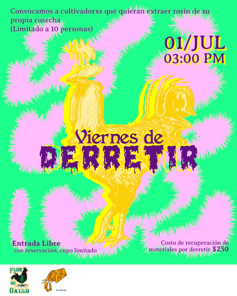 viernessMesa de trabajo 1mdpi
