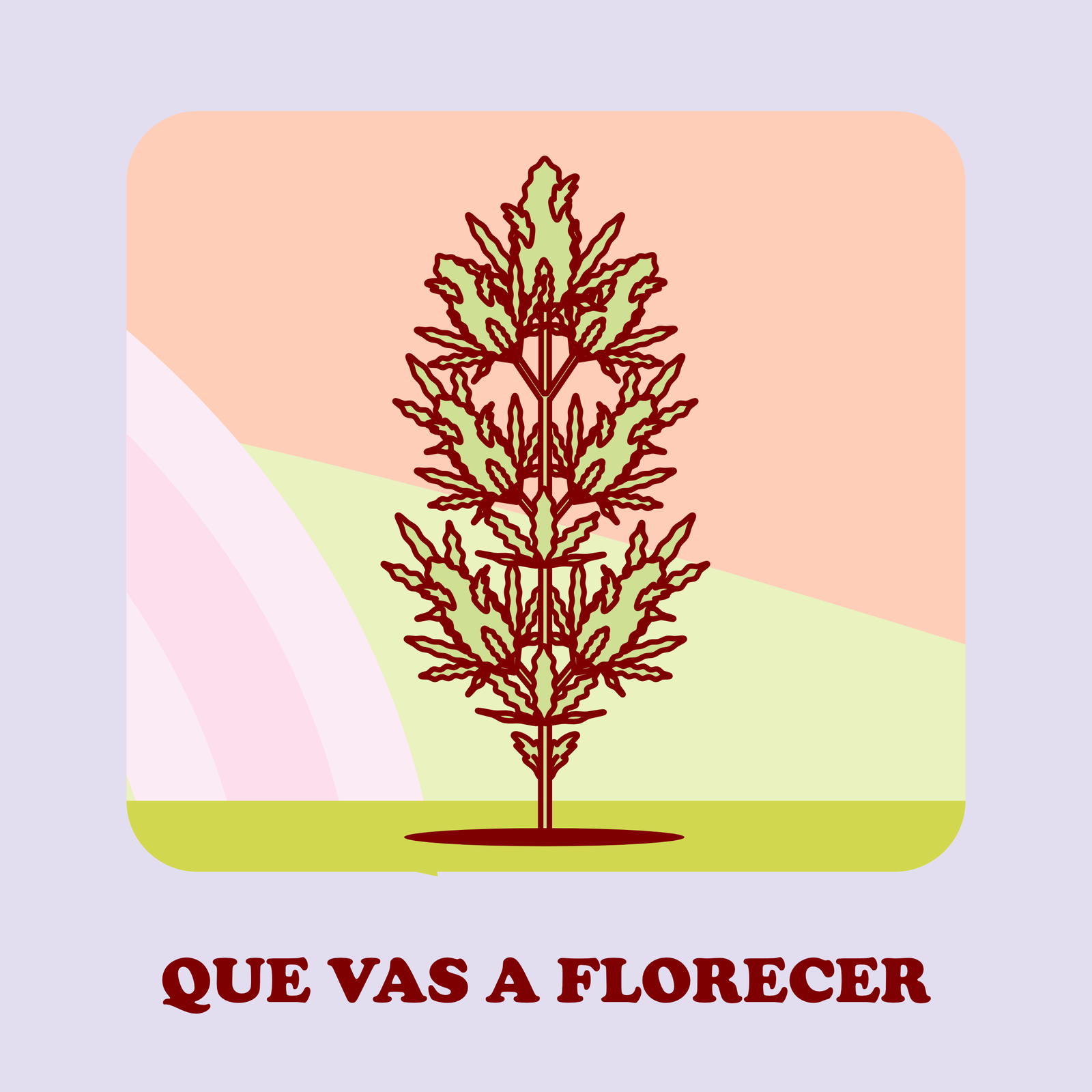 COMOLAFLOR4