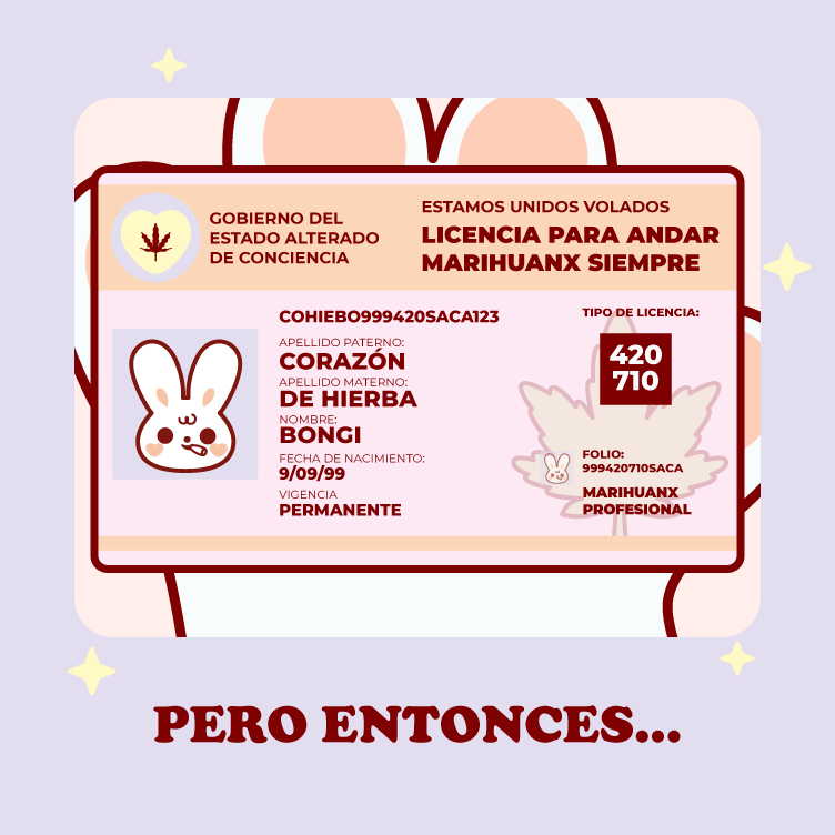 LICENCIAMesa de trabajo 2 copia 2