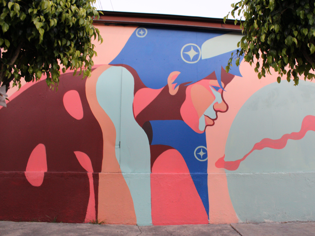 mural-obs1